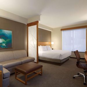 King Room Sofa Bed